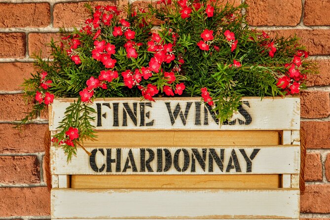 Self Driving Sunset Tour With Dinner and Stargazing in Tenerife - Tour Overview