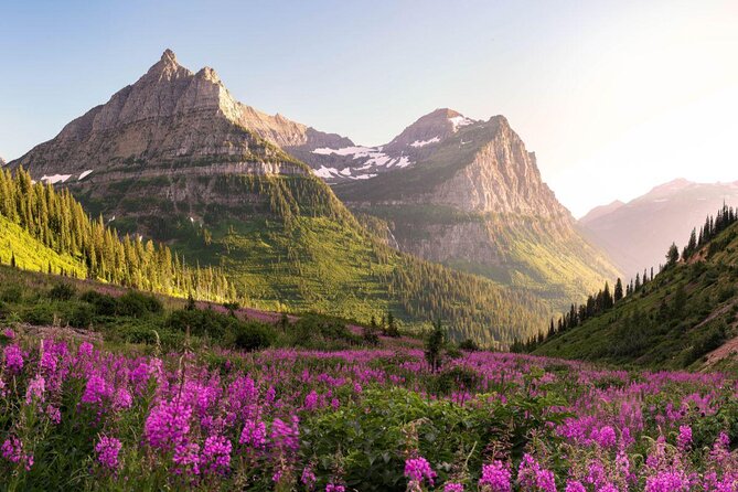 Self-Guided Audio Driving Tour in Glacier National Park - Good To Know