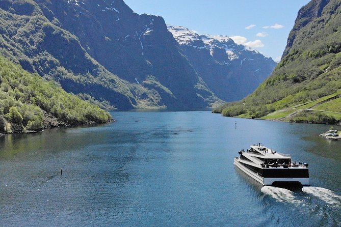 Self-Guided Day Tour - Premium Nærøyfjord Cruise & Flåm Railway - Good To Know