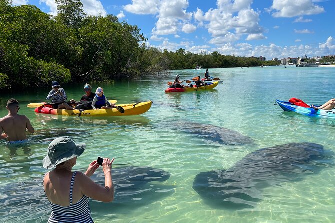Self-Guided Island Tour - CLEAR or Standard Kayak or Board - Bonita Springs - Good To Know