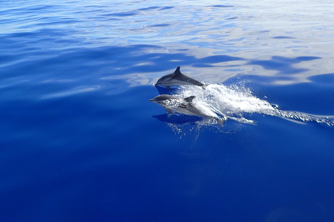 Semi-private Antiparos & Caves Blue Lagoon OR Rina Cave & Small Cyclades - Good To Know
