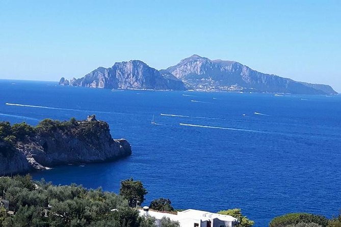 Semi Private Exclusive Tour of Positano & Sorrento With Farmhouse Lunch - Additional Information and Resources