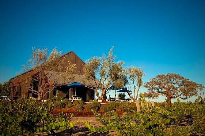 8 Best Wine Tours In San Luis Obispo