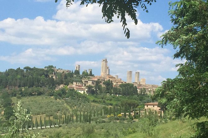 Semiprivate Tour: Siena, Wine Tour, San Gimignano - Good To Know