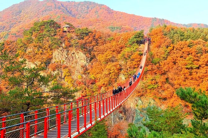 Seoul City and Seasonal Hot Attractions One Day Tour