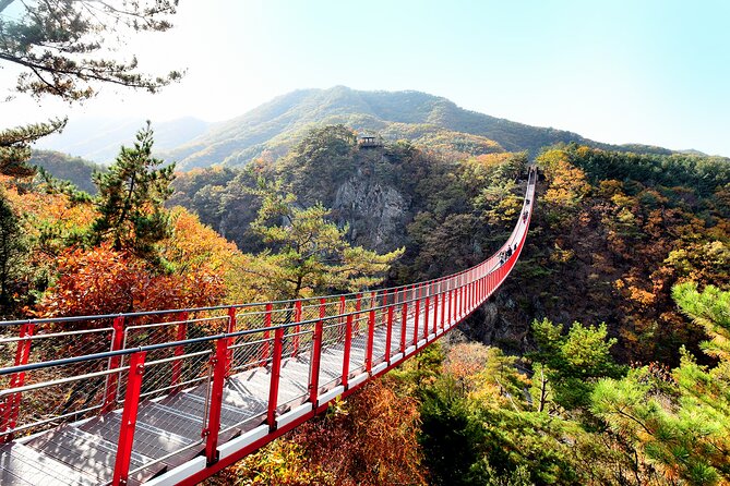 Seoul: South Korea DMZ, Mt. Gamak & Fall Foliage With Lunch - Good To Know