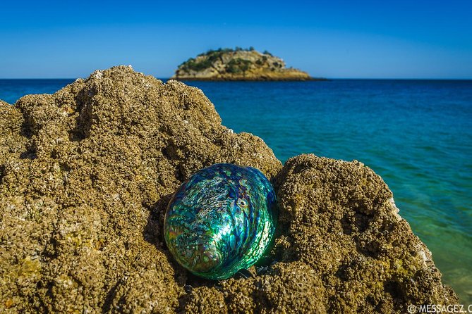 Sesimbra Wild Beach Tour From Lisbon - Good To Know