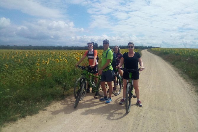 3 Best Bike Tours In Andalucia