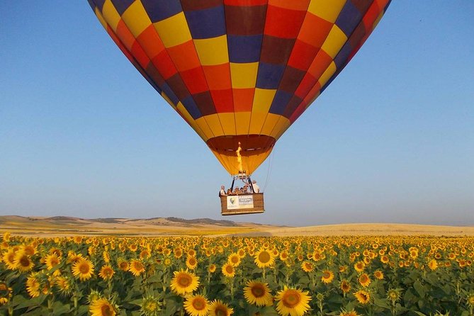 Seville Hot-Air Balloon Ride With Breakfast, Cava & Hotel Pick up