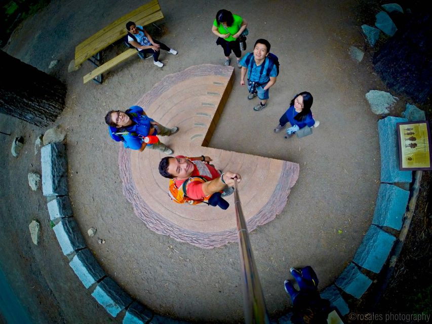 Sf/Pleasanton: Day Trip to Yosemite With Giant Sequoias Hike - Good To Know