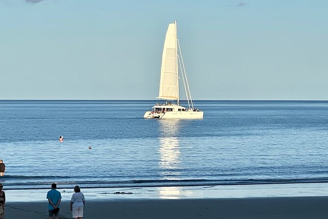 Shared Arrival Transfer From Cairns Airport to Port Douglas