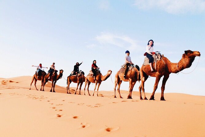 Shared Group 3 Days/2Nights: Fez to Marrakech Sahara Tour - Good To Know