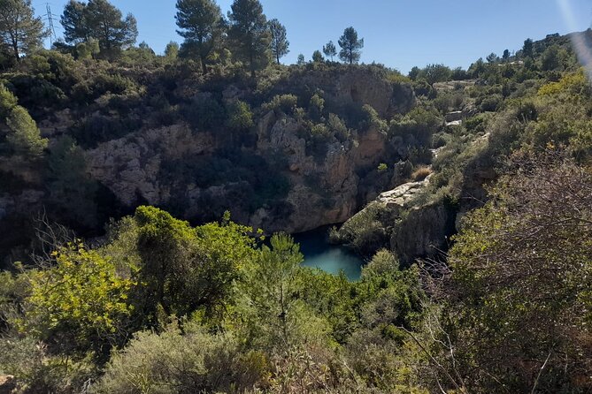 Shared Hike Tour in Valencia - Good To Know
