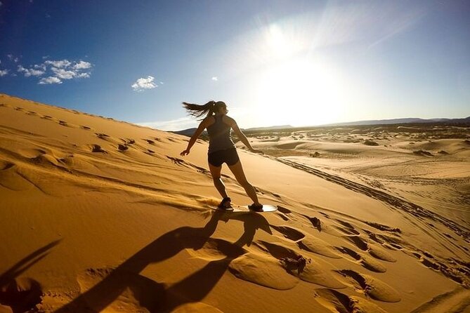 25 Best Safari Tours In Doha