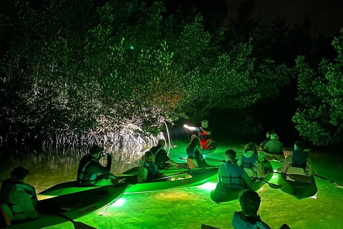 Sharkeys LED Illuminated Night & Sunset Tour on Glass Bottom Kayaks in Sarasota - Good To Know