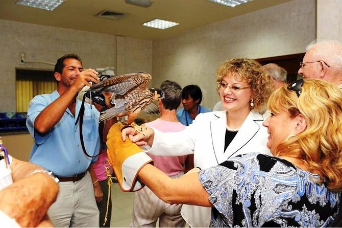 Sheikh Zayed Mosque and Falcon Hospital With Ferrari World Tour - Good To Know