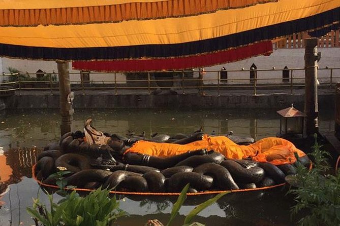 Shivapuri Full Day Guided Trek From Kathmandu - Highlights of the Shivapuri Trek