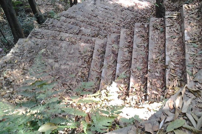 Shivapuri National Park Day Hiking From Kathmandu - Overview of Shivapuri National Park