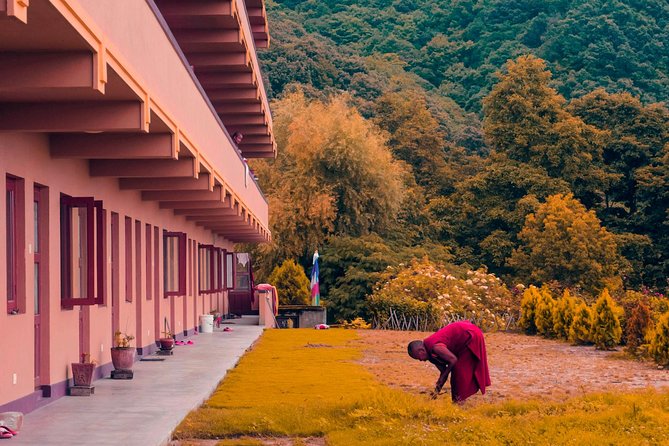 Shivapuri Peak Hike and Sleeping Buddha Sightseeing Tour - Tour Confirmation and Accessibility