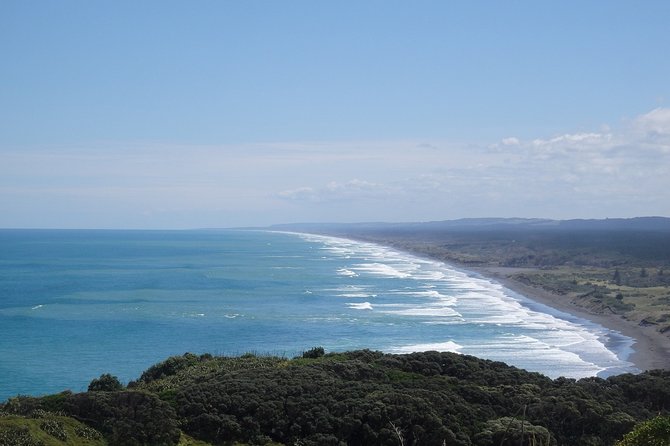 Shore Excursion: Auckland Scenic Full Day Tour - 8 Hours - Good To Know