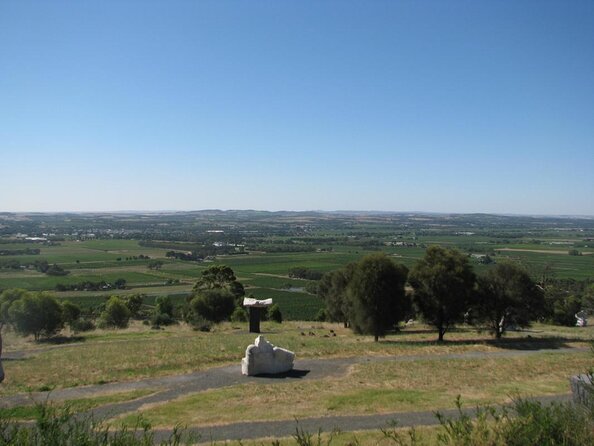 13 Best Wine Tours In South Australia