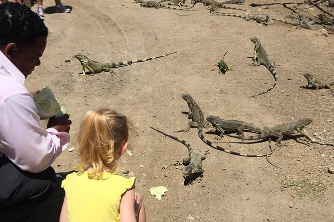 Shore Excursion: Beach, Sightseeing and Shopping  - St Maarten - Traveler Photos and Reviews