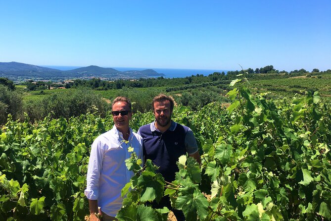 Shore Excursion Private Full Day Wine Tour in Provence From Toulon