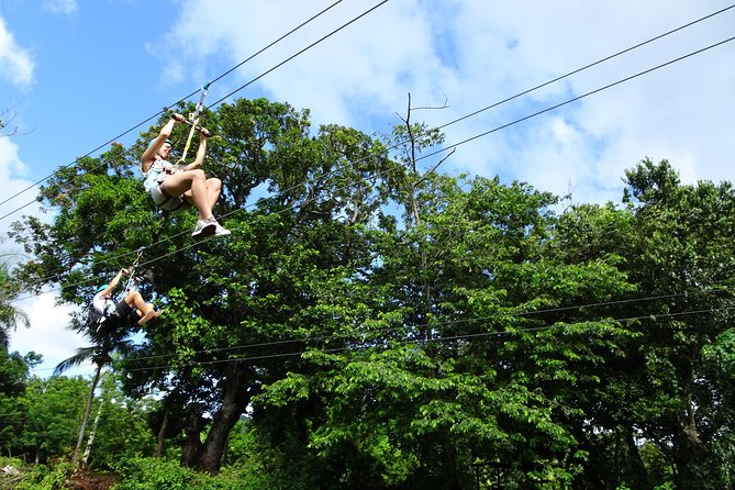 Shore Excursion: Zip Line Adventure - Pricing and Booking