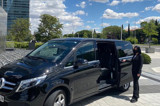 Shuttle Transfer Arrivals: Madrid Airport to City Center - Overview and Benefits