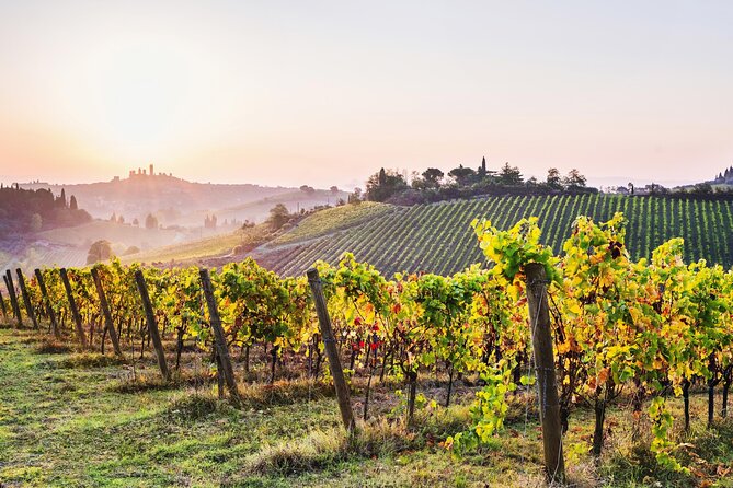 Siena, San Gimignano, Chianti Wine Region Tour From Florence