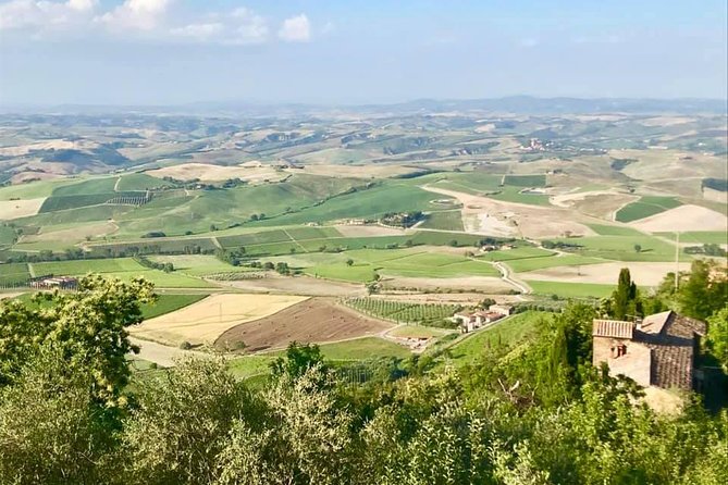 Siena, San Gimignano & the Chiantiside Private Tour With Mercedes V Class Van
