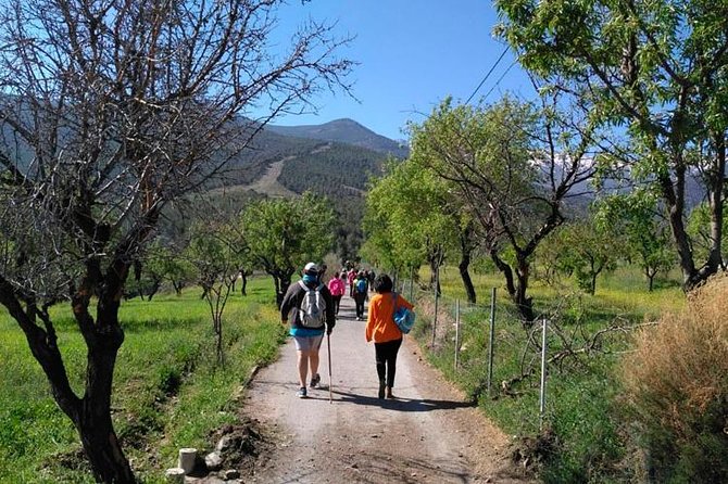 Sierra De Aracena: Grotto of Wonders, Hiking and Ecological Picnic. - Good To Know