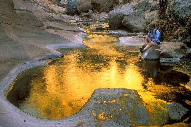 Sierra De La Laguna Hiking and Natural Springs Swim With Waterfalls - Good To Know