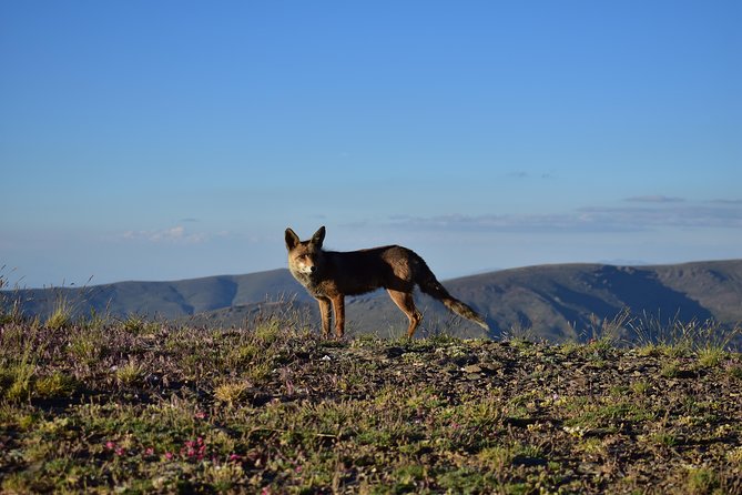 Sierra Nevada Tour (Granada) - What to Bring