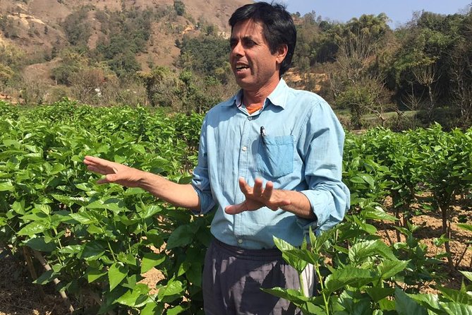 Silkworm Farm (Sericulture) Day Visit With Easy Hiking In Pokhara - Good To Know