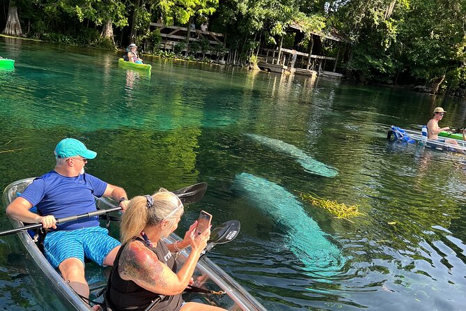 Silver Springs Clear Kayaking Manatee & Monkey Adventure