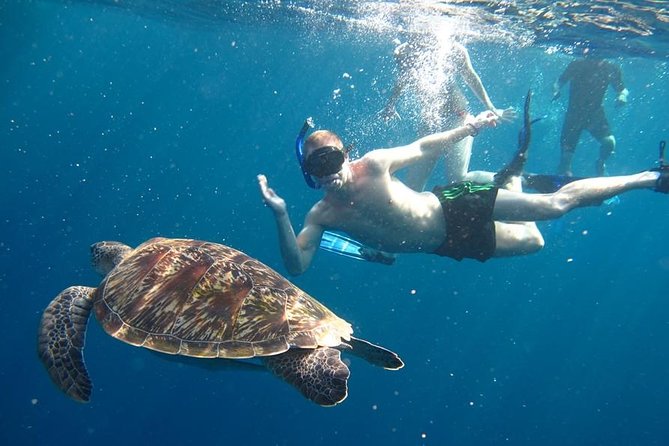Similan Islands Day Trip by Speedboat From Phuket