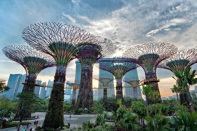 Singapore Full-Dy Private Customizable Tour Including Lunch - Good To Know