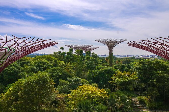 Singapore: Gardens By The Bay Admission Ticket - Ticket Information