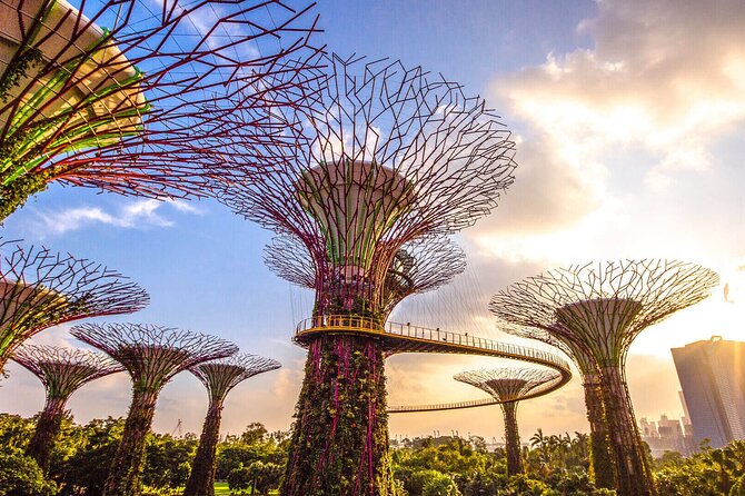 Singapore Private Mercedes City Tour With GBB and Skypark