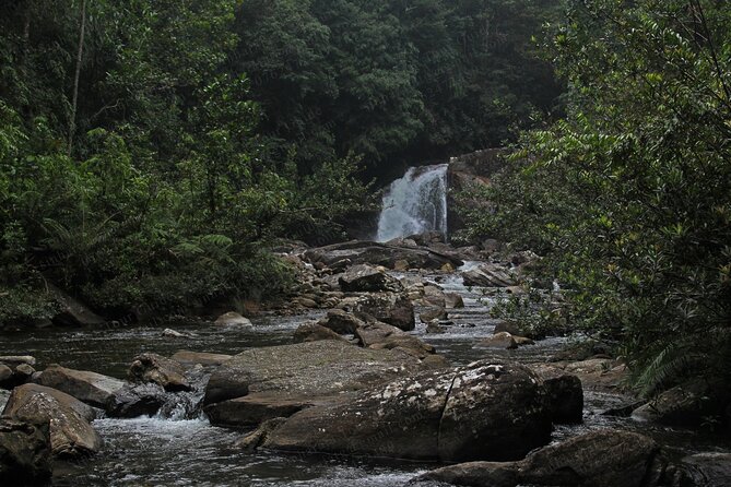 Sinharaja Forest Reserve (Sinharaja Rain Forest) Private Tour  – Galle