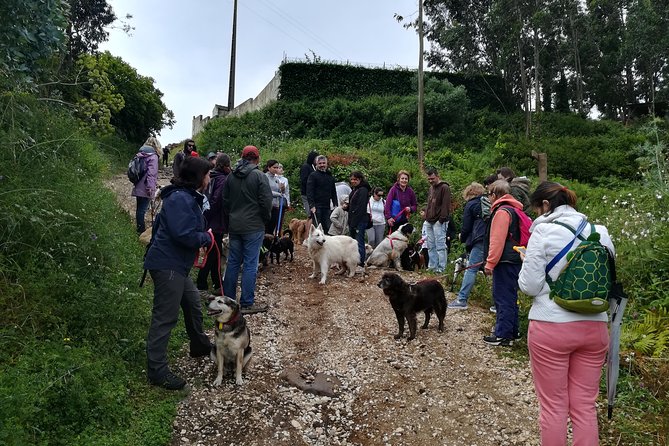Sintra or Arrabida - Hiking the Natural Wonders of the Lisbon Region - Sintras Enchanting Trails