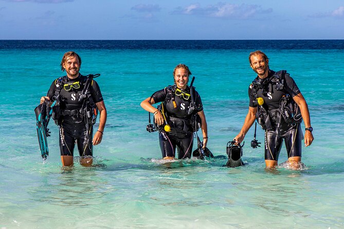 4 Best Scuba Diving Experiences In Bonaire