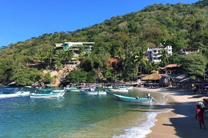Six Hidden Beaches Hike Full-day Tour - Good To Know