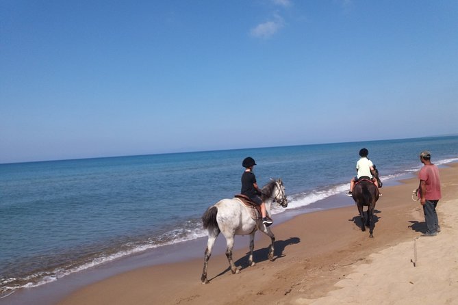 Skafidia Greece Horseback Riding on Beach and Forest - Good To Know