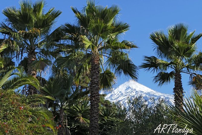 Skip the Line: Artlandya Admission Ticket in Tenerife - Good To Know