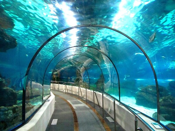 Skip the Line: Barcelona Aquarium Ticket
