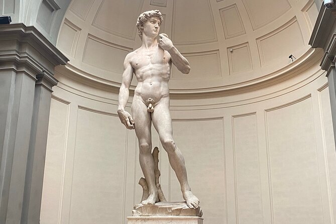 Skip the Line Guided Tour to See Michelangelos David at the Accademia Gallery