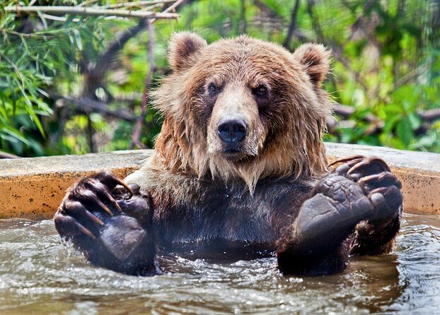 Skip the Line: Kamloops BC Wildlife Park Admission Ticket