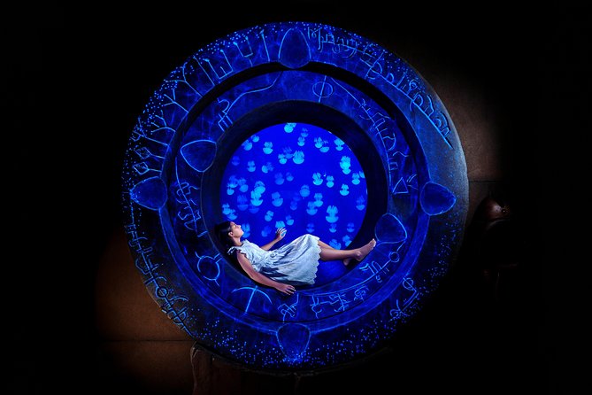 Skip the Line: Lost Chambers Entry at Atlantis The Palm Ticket - Overview and Features